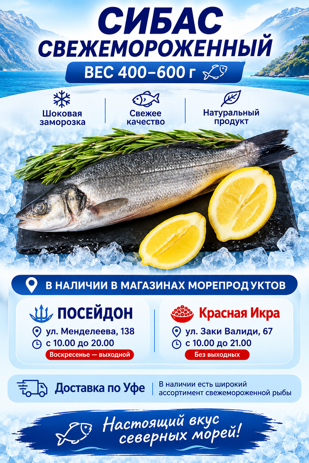 2024/12/1000159415.png Сибас — изображение 1
