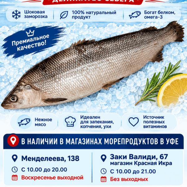 Муксун