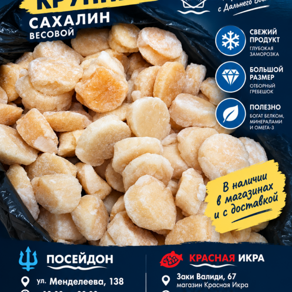 Гребешок крупный Сахалин весовой