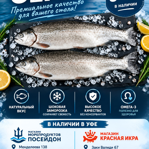 Сёмга свежемороженая вес 3-4 кг